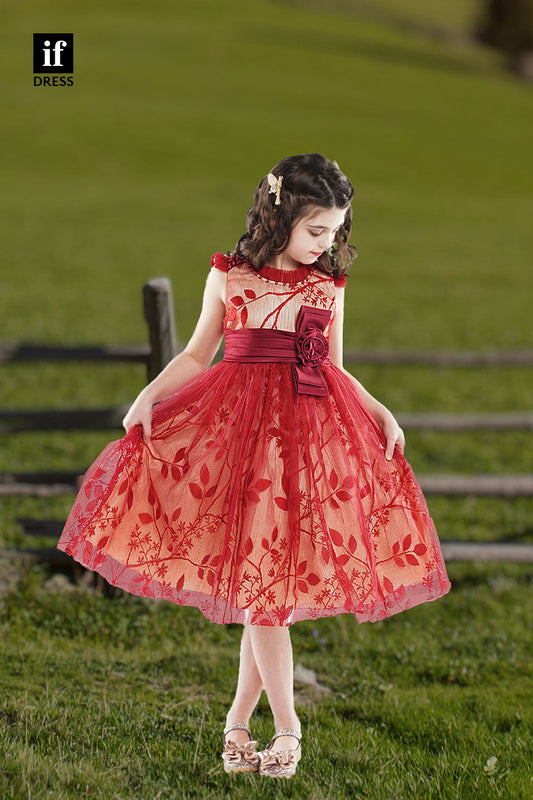 30356 - A Line Lace Cute Flower Girl Dress Brow Toddle Dress